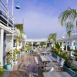 book here